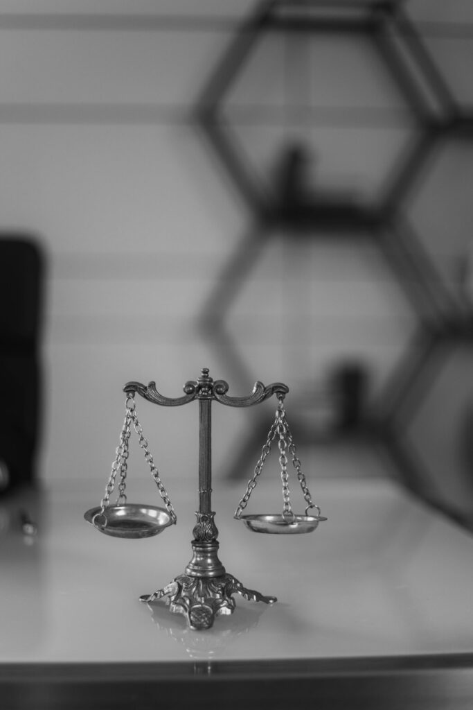 litigation-support-services-in-delhi